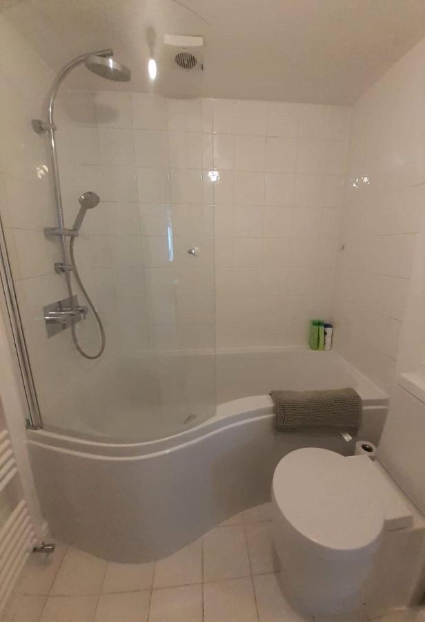 2 Bedroom Victorian Garden Flat Londen Buitenkant foto